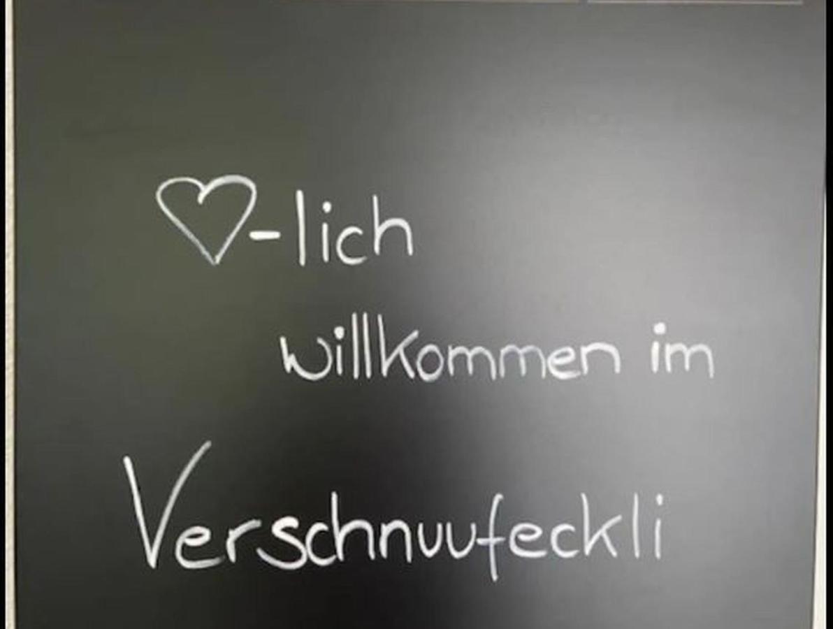 Ferienwohnung Verschnuufeckli 珀丽 外观 照片